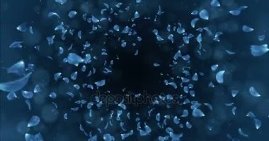 Arka plan düşen uçan romantik koyu mavi gül orkide çiçek yaprakları 4 k döngü