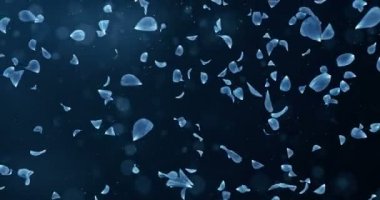 Arka plan döngü 4 k düşen uçan romantik koyu mavi gül çiçek yaprakları