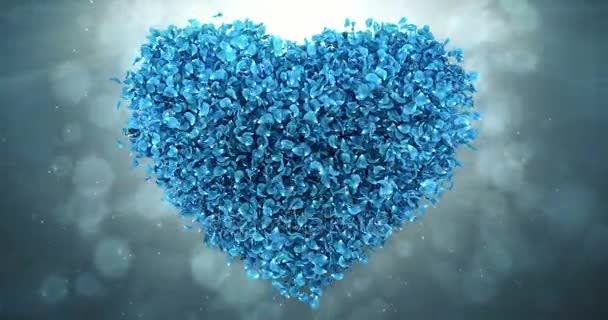 Blue Rose Flower Petals In Lovely Heart Shape Background Loop 4k — Stock Video