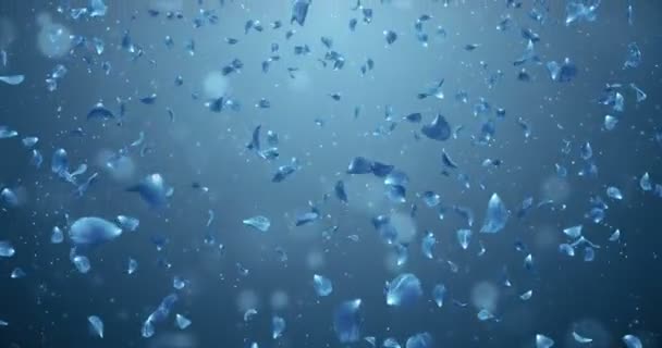 飞行浪漫暗蓝色玫瑰花瓣落背景循环 4 k — 图库视频影像