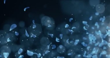 Döngü 4 k düşen uçan romantik koyu mavi gül orkide çiçek yaprakları yer tutucu
