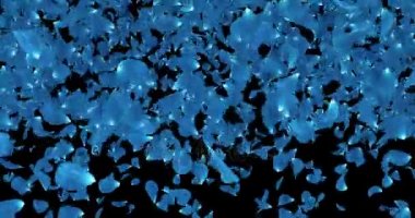 Romantik koyu mavi gül çiçek yaprakları düşen geçiş Alfa mat döngü 4k