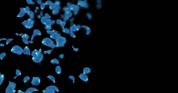 Létající rozmazané světlo modrá růže květ okvětní lístky zástupný symbol Alfa podkladu smyčka 4k — Stock video
