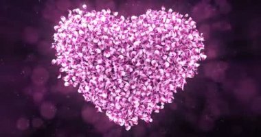 Pembe Gül Sakura çiçek yaprakları güzel kalp şekli arka planda 4 k döngü