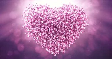 Pembe Gül Sakura çiçek yaprakları güzel kalp şekli arka planda 4 k döngü