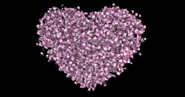 Romantik pembe Gül Sakura çiçek yaprakları kalbinde Alfa mat döngü 4 k şekil