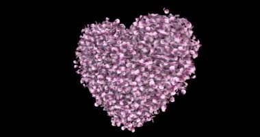 Dönen pembe Gül Sakura çiçek yaprakları kalbinde Alfa mat döngü 4 k şekil