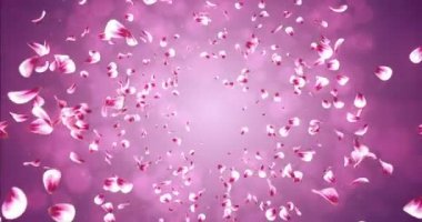 Arka plan düşen uçan romantik kırmızı pembe Gül Sakura çiçek yaprakları 4 k döngü