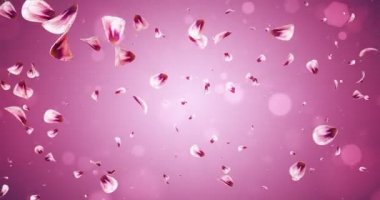 Arka plan düşen uçan romantik kırmızı pembe Gül Sakura çiçek yaprakları 4 k döngü