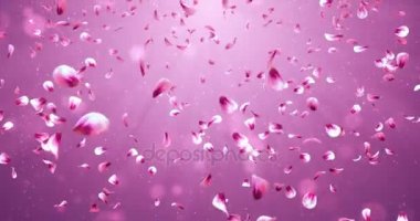 Arka plan düşen uçan romantik kırmızı pembe Gül Sakura çiçek yaprakları 4 k döngü