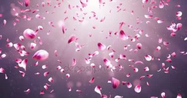 Arka plan düşen uçan romantik kırmızı pembe Gül Sakura çiçek yaprakları 4 k döngü