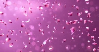 Arka plan düşen uçan romantik kırmızı pembe Gül Sakura çiçek yaprakları 4 k döngü