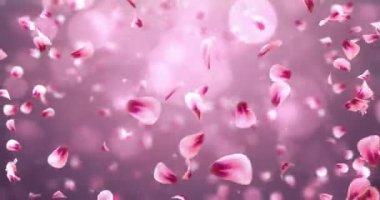 Romantik kırmızı pembe Gül Sakura çiçek yaprakları arka plan döngü 4 k uçan Jakuzziler