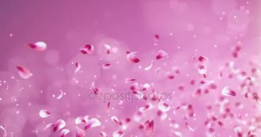 Yer tutucu düşen uçan romantik kırmızı pembe Gül Sakura çiçek yaprakları 4 k döngü