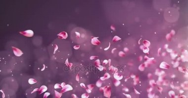 Yer tutucu düşen uçan romantik kırmızı pembe Gül Sakura çiçek yaprakları 4 k döngü