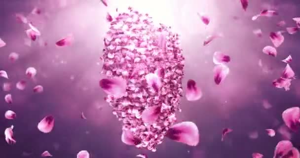 Rotating pink rose sakura flower petals in love heart shape. Seamless loop 4k