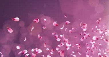 Yer tutucu düşen uçan romantik kırmızı pembe Gül Sakura çiçek yaprakları 4 k döngü
