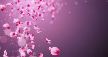 Yer tutucu düşen uçan romantik kırmızı pembe Gül Sakura çiçek yaprakları 4 k döngü
