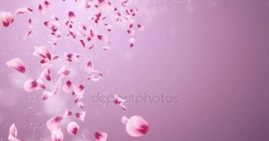 Yer tutucu düşen uçan romantik kırmızı pembe Gül Sakura çiçek yaprakları 4 k döngü