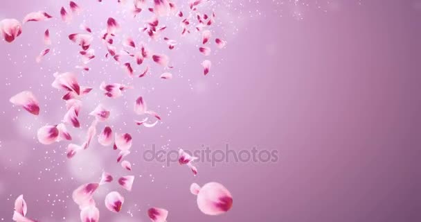 Létající romantické červené růžové Rose Sakura okvětní pádu zástupný symbol smyčka 4k