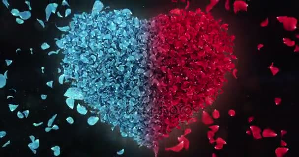 Червоний синій падіння квітка пелюстки троянди в прекрасний серце форму фон петлю 4 к — стокове відео