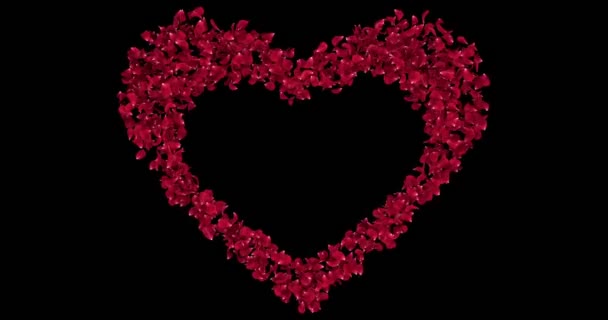 Petali di fiore di rosa rossa a forma di cuore Alpha Matte Placeholder Loop 4k — Video Stock