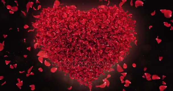 Red Rose Falling Flower Petals In Lovely Heart Shape Background Loop 4k