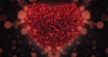 Kırmızı gül çiçek yaprakları güzel kalbinde arka plan döngü 4 k şekil