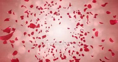 Arka plan düşen uçan romantik kırmızı gül çiçek yaprakları 4 k döngü