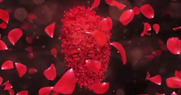 Whirl roterande röd ros blomma kronblad i ljuvligt hjärta form bakgrund slinga 4k — Stockvideo
