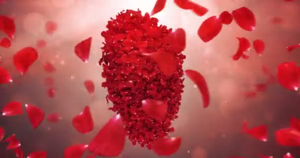 Whirl roterande röd ros blomma kronblad i ljuvligt hjärta form bakgrund slinga 4k — Stockvideo