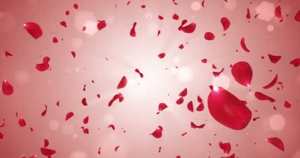 Flying romántico rojo rosa flor pétalos cayendo fondo lazo 4k — Vídeo de stock