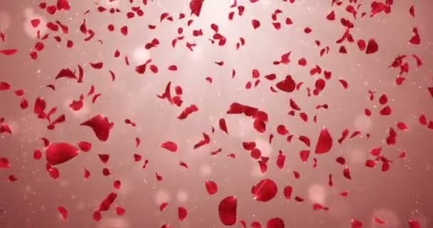 Лепестки летящих алых роз падают на заднем плане — стоковое видео