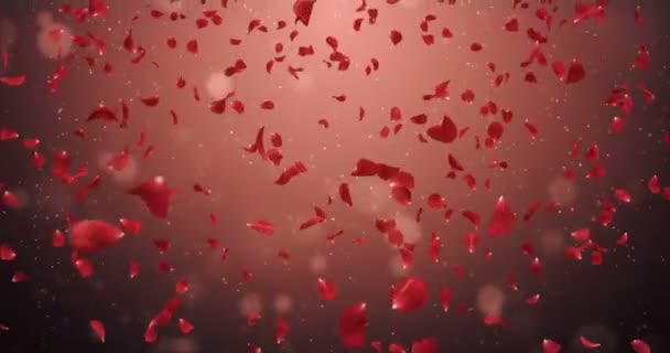 fliegen romantische dunkelrote Rosenblütenblätter fallen Hintergrund Schleife 4k