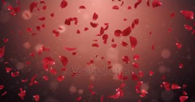 Arka plan düşen uçan romantik koyu kırmızı gül çiçek yaprakları 4 k döngü