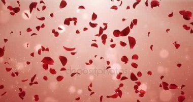 Arka plan düşen uçan romantik ışık kırmızı gül çiçek yaprakları 4 k döngü