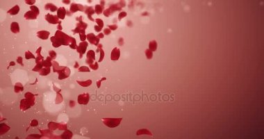Yer tutucu düşen uçan bulanık romantik kırmızı gül çiçek yaprakları 4 k döngü