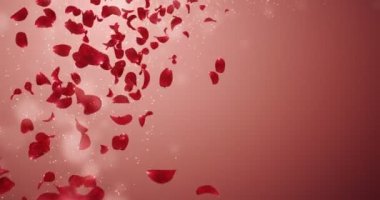 Yer tutucu düşen uçan romantik kırmızı gül çiçek yaprakları 4 k döngü