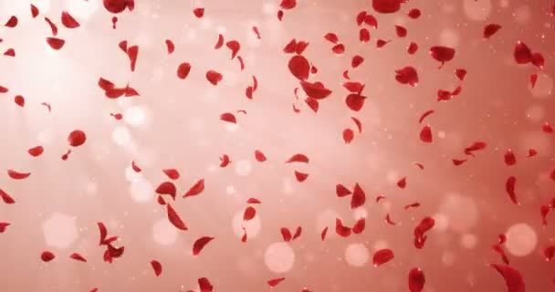 Flying romántico luz roja rosa flor pétalos cayendo fondo lazo 4k — Vídeo de stock