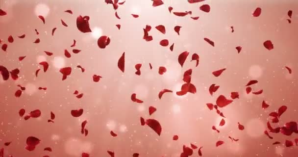 Flying romántico luz roja rosa flor pétalos cayendo fondo lazo 4k — Vídeo de stock