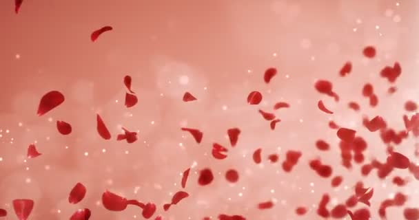 Flygande romantiska ljus röd ros blomma kronblad faller platshållare slinga 4k — Stockvideo