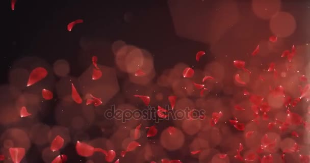 Flying romántico rojo oscuro rosa flor pétalos cayendo titular de la posición lazo 4k — Vídeo de stock