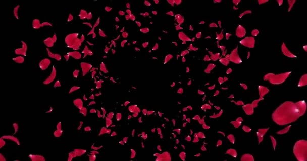 Flor de rosa roja romántica voladora pétalos cayendo fondo Alpha mate lazo 4k — Vídeo de stock