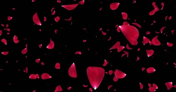 Flor de rosa roja romántica voladora pétalos cayendo fondo Alpha mate lazo 4k — Vídeo de stock