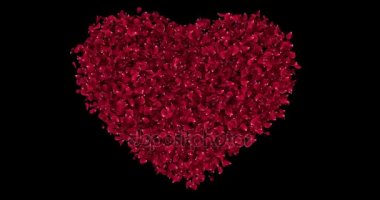Romantik kırmızı gül çiçek yaprakları kalbinde Alfa mat döngü 4 k şekil