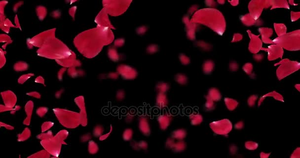 Vortice volante romantico rosso rosa fiore petali sfondo alfa opaco loop 4k — Video Stock