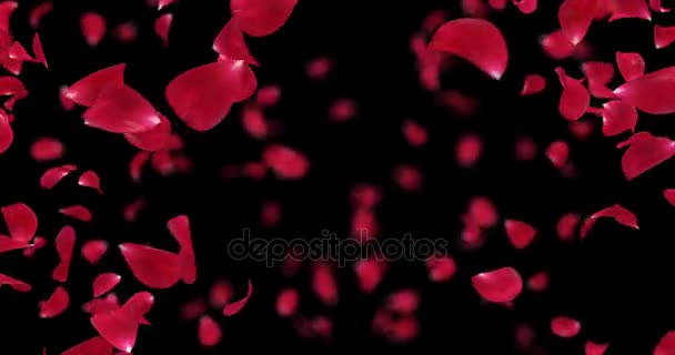Örvény repülő romantikus Red Rose virág szirmai háttér alfa Matt hurok 4k
