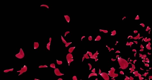 Létající romantické Red Rose Flower okvětní lístky padající zástupný symbol Alfa podkladu smyčka 4k — Stock video