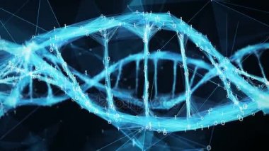Hareketli arka plan - dijital ikili çokgen pleksus Dna molekülü 4k döngü