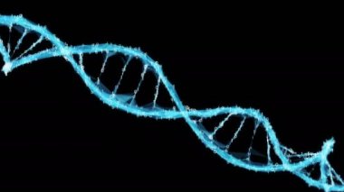 Hareketli arka plan dijital ikili çokgen pleksus Dna molekülü 4k döngü Alpha mat